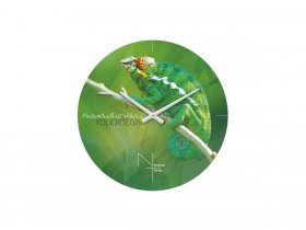 Часы настенные Nicole Time NT503 в Быструхе - bystruha.mebel-nsk.ru | фото